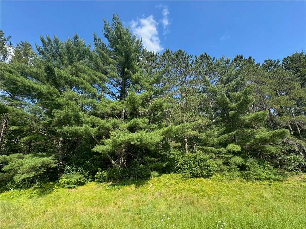 18.8 acres on State Highway 27 Hayward WI 54843 - Spring 1593405 image26