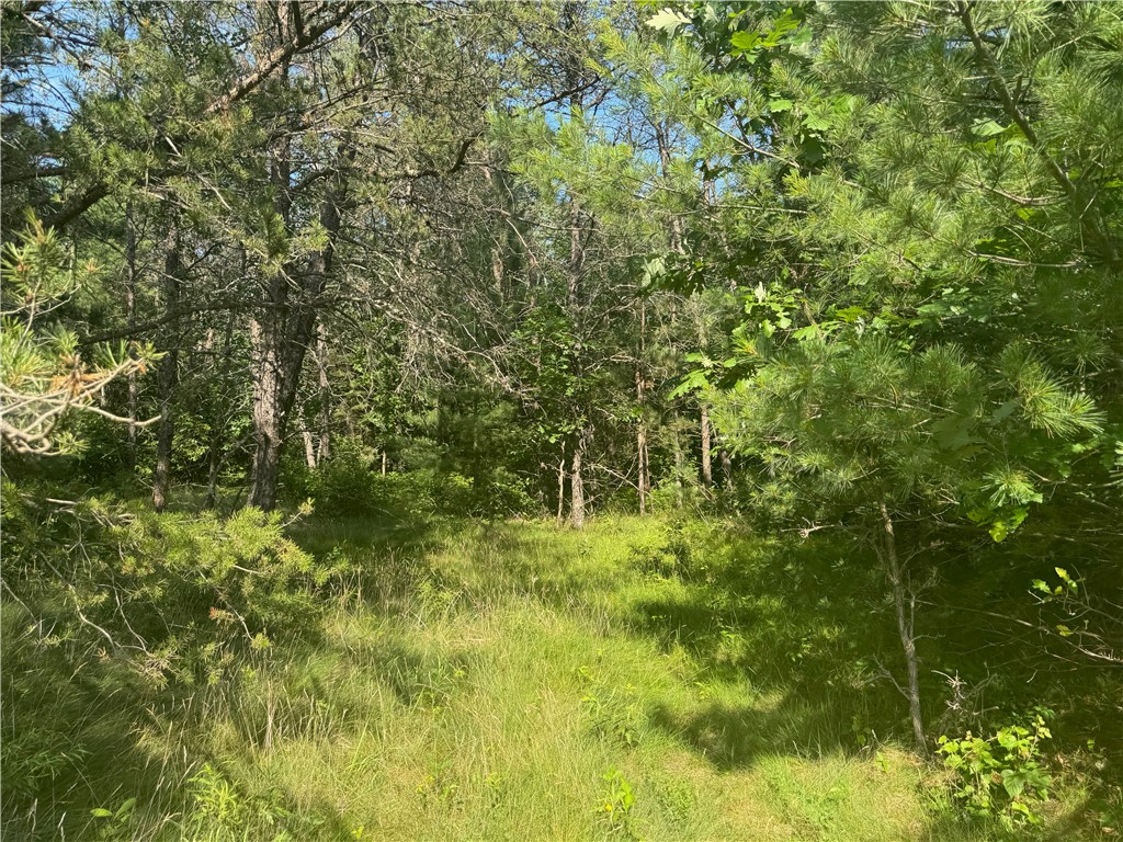 18.8 acres on State Highway 27 Hayward WI 54843 - Spring 1593405 image27