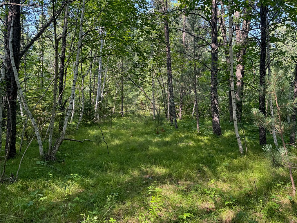 18.8 acres on State Highway 27 Hayward WI 54843 - Spring 1593405 image29