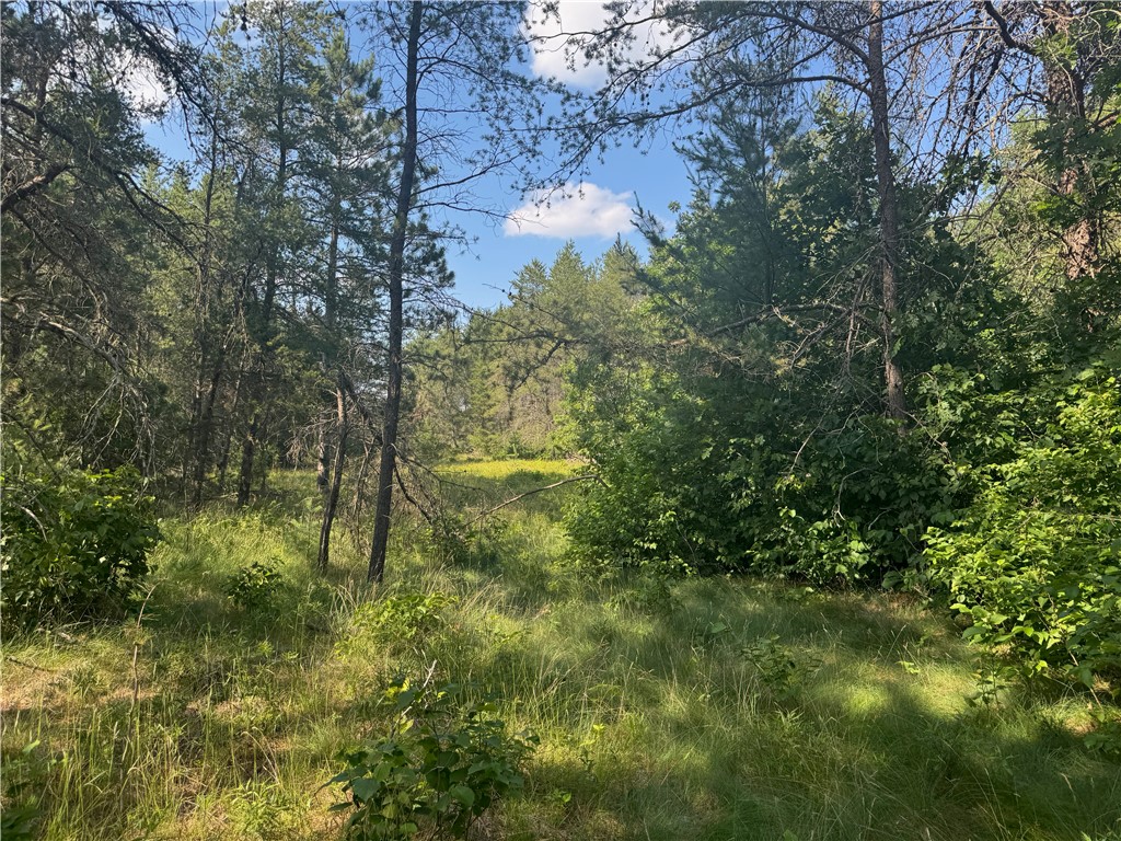 18.8 acres on State Highway 27 Hayward WI 54843 - Spring 1593405 image31