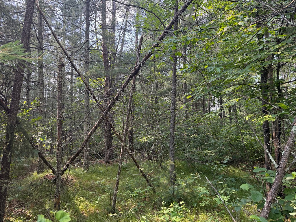 18.8 acres on State Highway 27 Hayward WI 54843 - Spring 1593405 image33