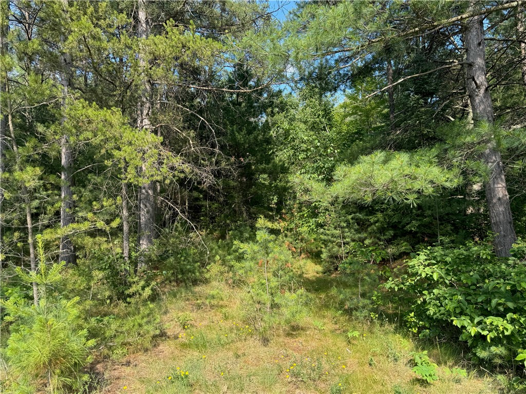 18.8 acres on State Highway 27 Hayward WI 54843 - Spring 1593405 image36