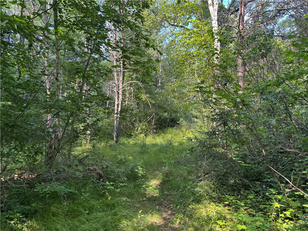 18.8 acres on State Highway 27 Hayward WI 54843 - Spring 1593405 image37