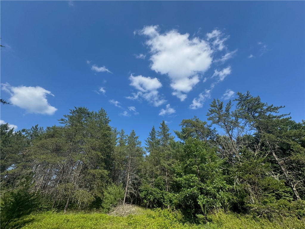 18.8 acres on State Highway 27 Hayward WI 54843 - Spring 1593405 image41