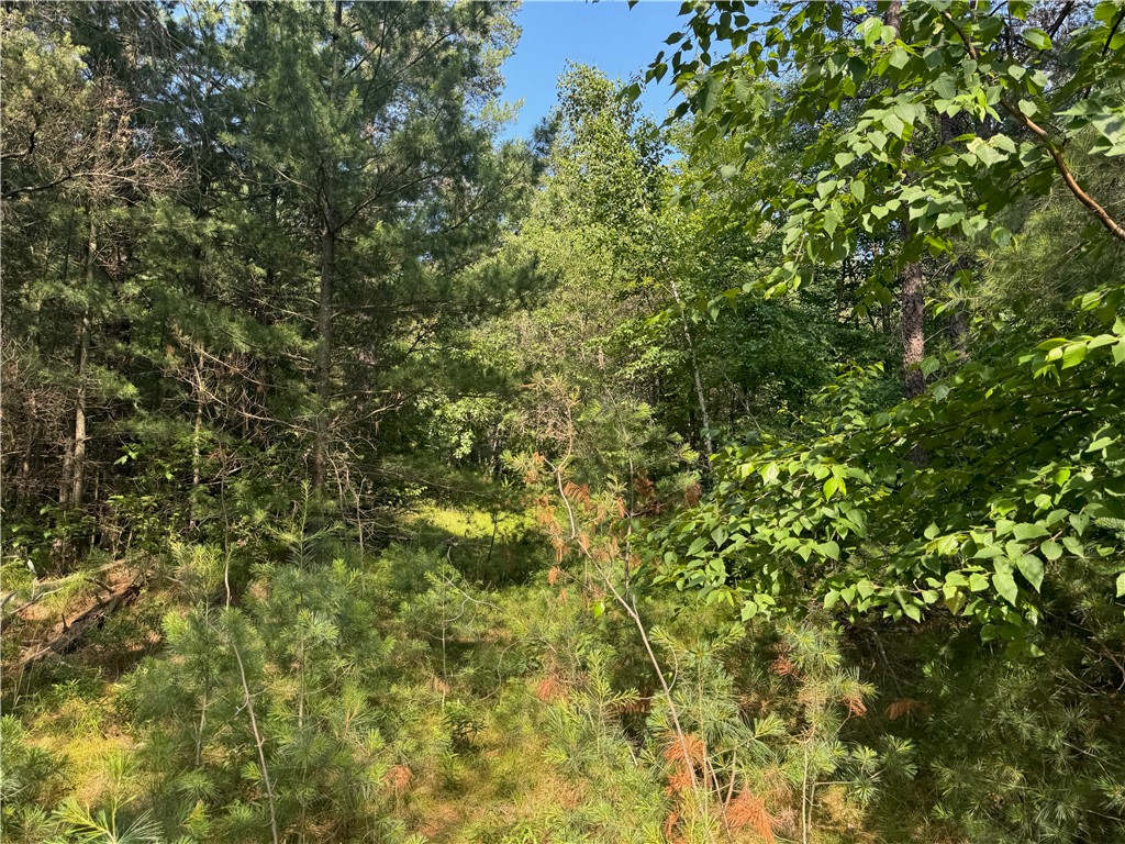 18.8 acres on State Highway 27 Hayward WI 54843 - Spring 1593405 image42