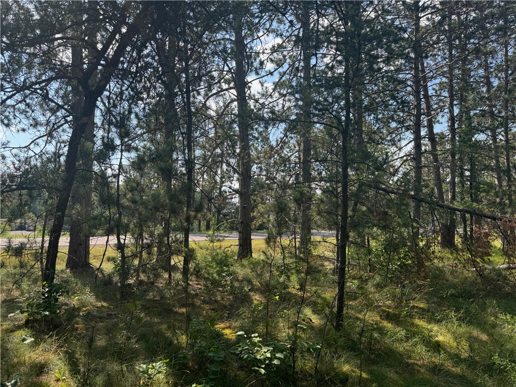 18.8 acres on State Highway 27 Hayward WI 54843 - Spring 1593405 image45