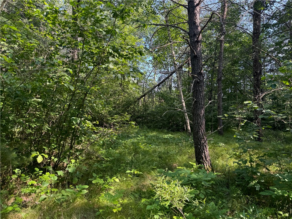 18.8 acres on State Highway 27 Hayward WI 54843 - Spring 1593405 image47