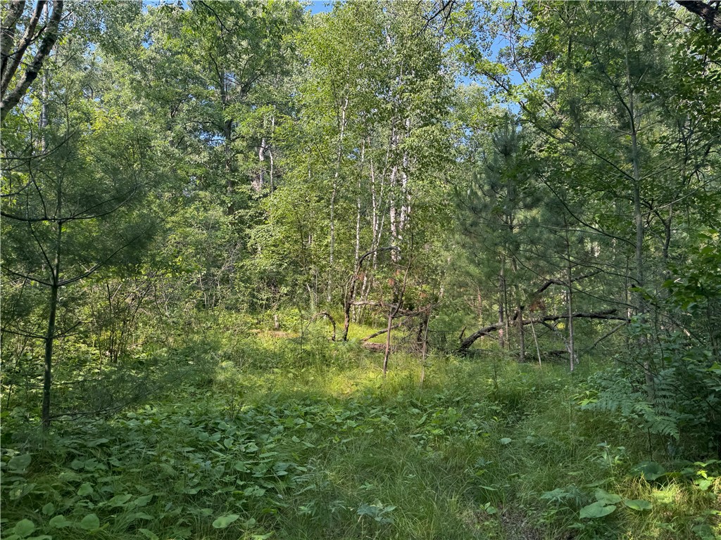 18.8 acres on State Highway 27 Hayward WI 54843 - Spring 1593405 image48