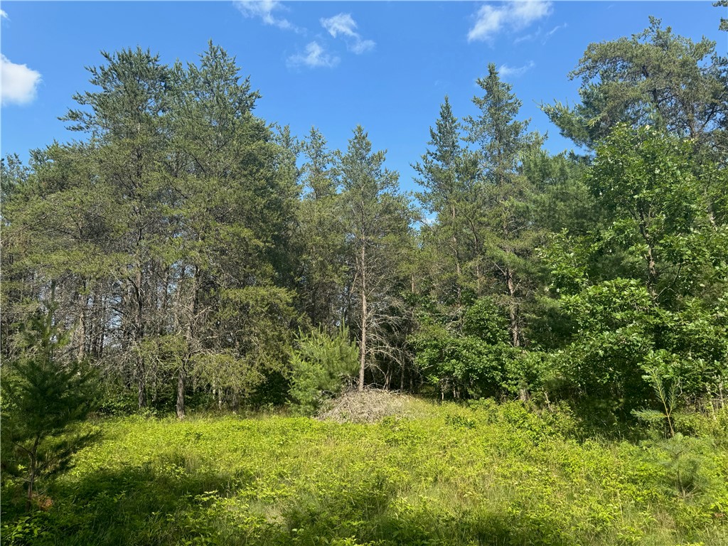 18.8 acres on State Highway 27 Hayward WI 54843 - Spring 1593405 image50