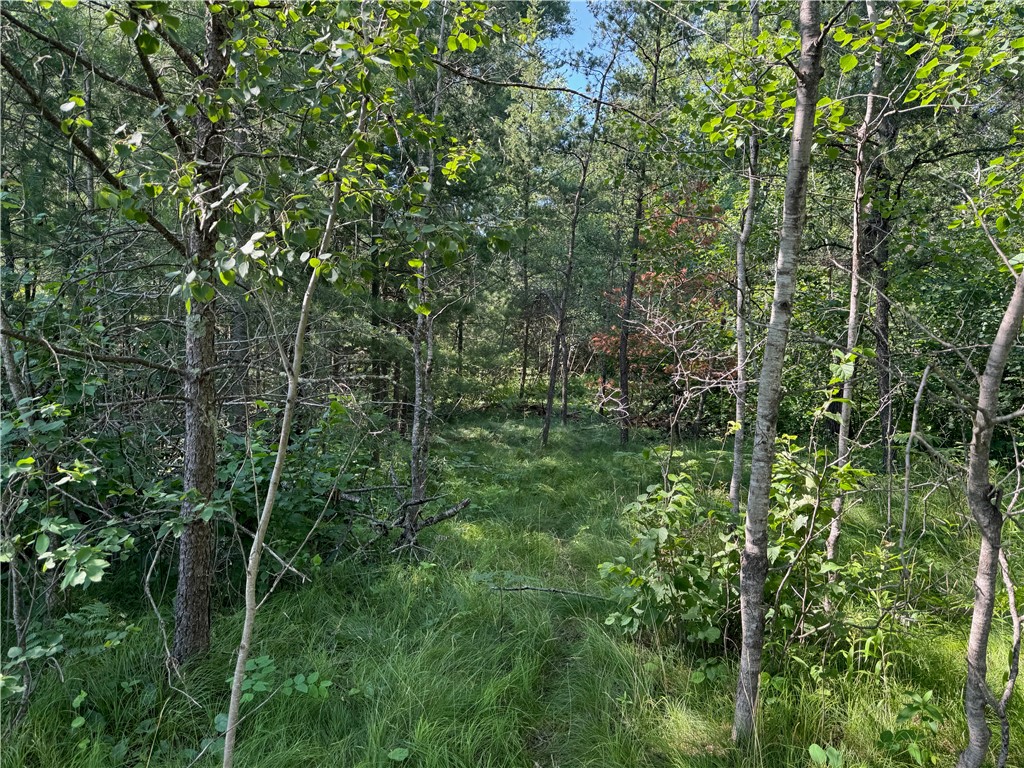 18.8 acres on State Highway 27 Hayward WI 54843 - Spring 1593405 image52