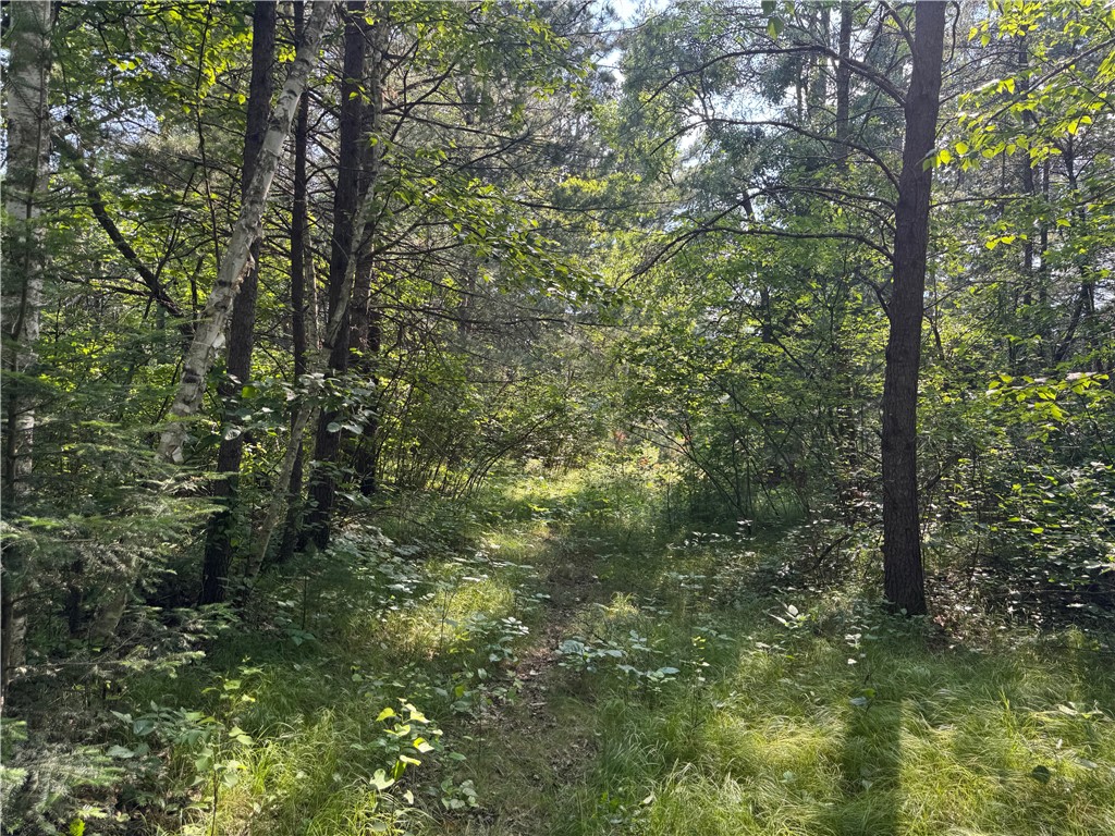 18.8 acres on State Highway 27 Hayward WI 54843 - Spring 1593405 image53