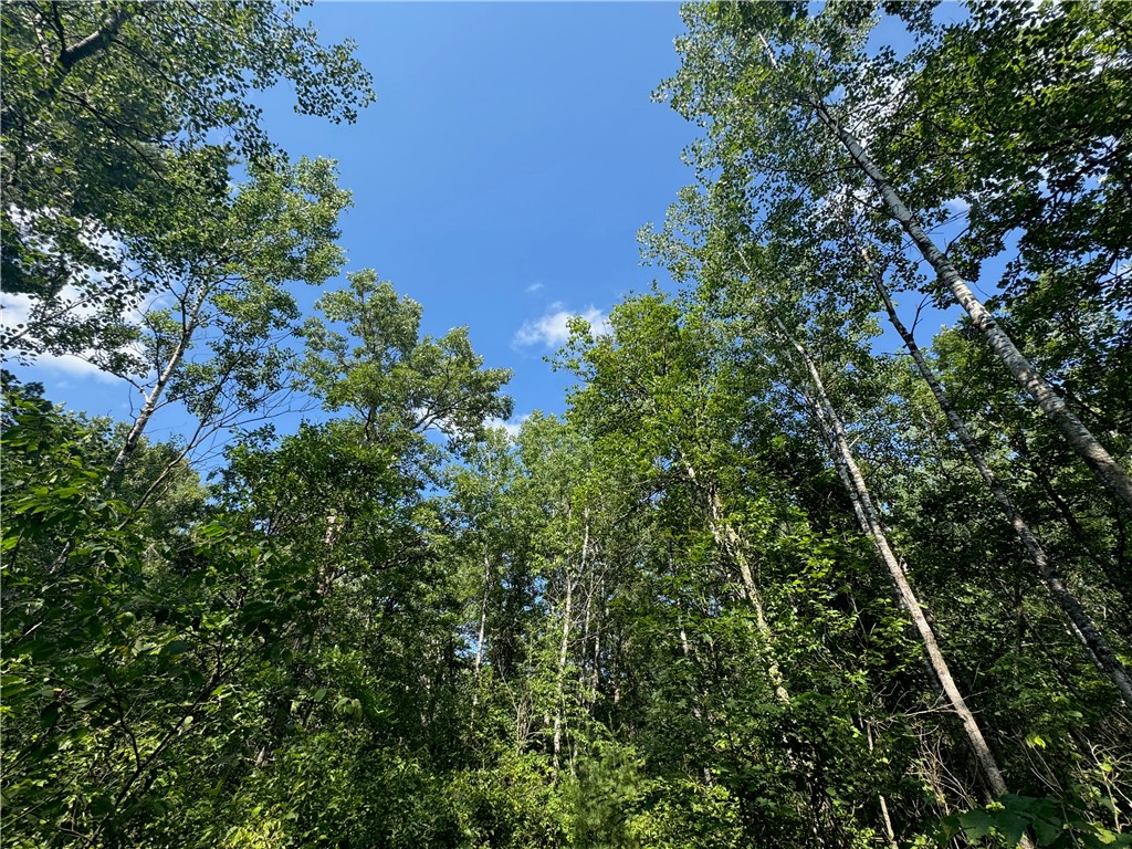 18.8 acres on State Highway 27 Hayward WI 54843 - Spring 1593405 image54