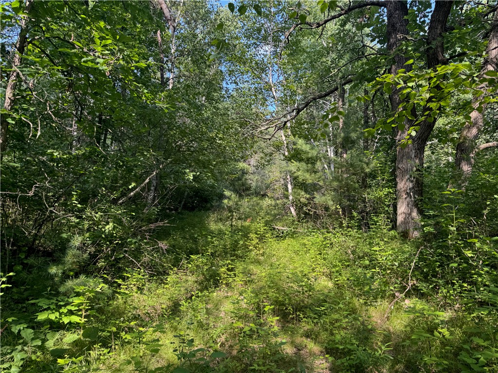 18.8 acres on State Highway 27 Hayward WI 54843 - Spring 1593405 image55