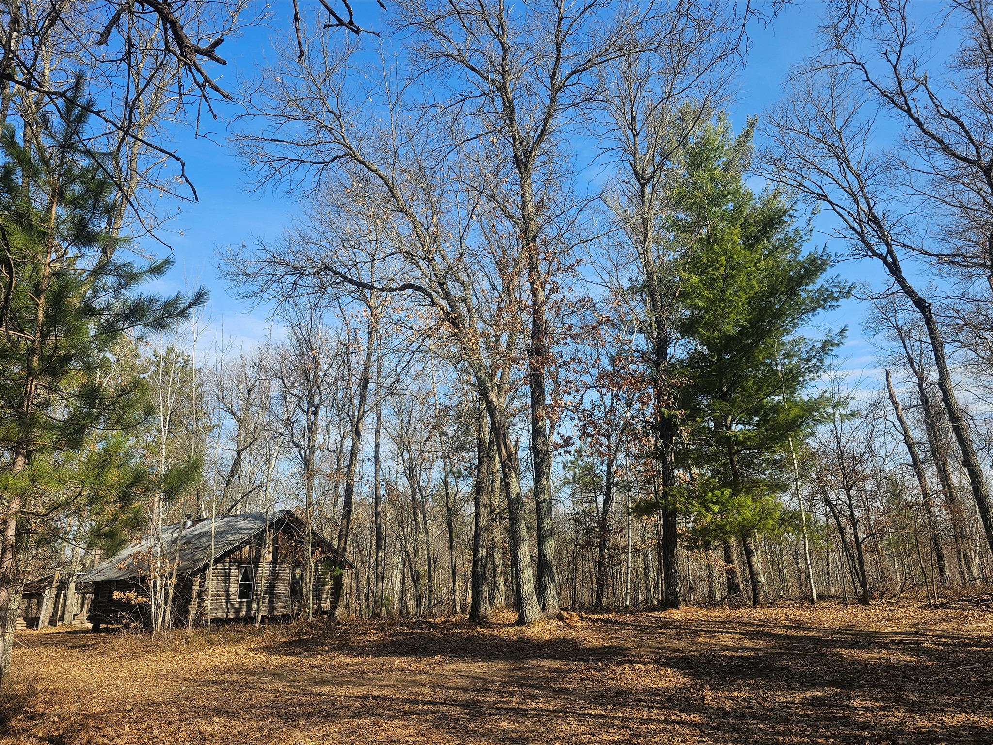 1894 S Lost Lake Road Danbury WI 54830 1599386 image2