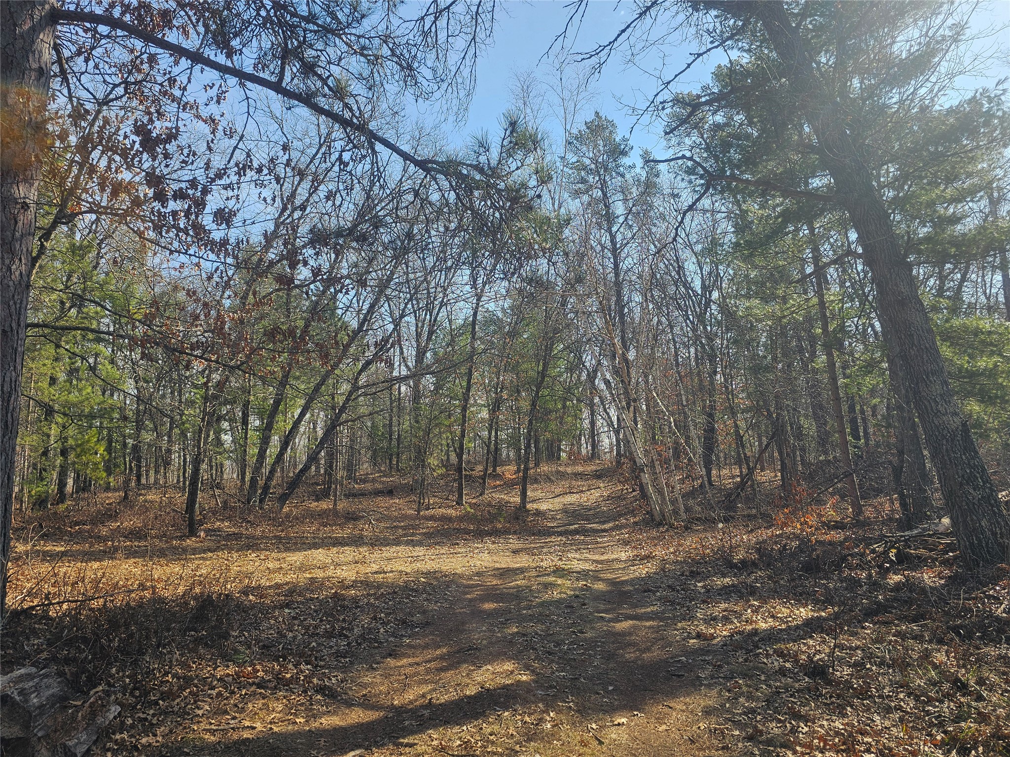 1894 S Lost Lake Road Danbury WI 54830 1599386 image27