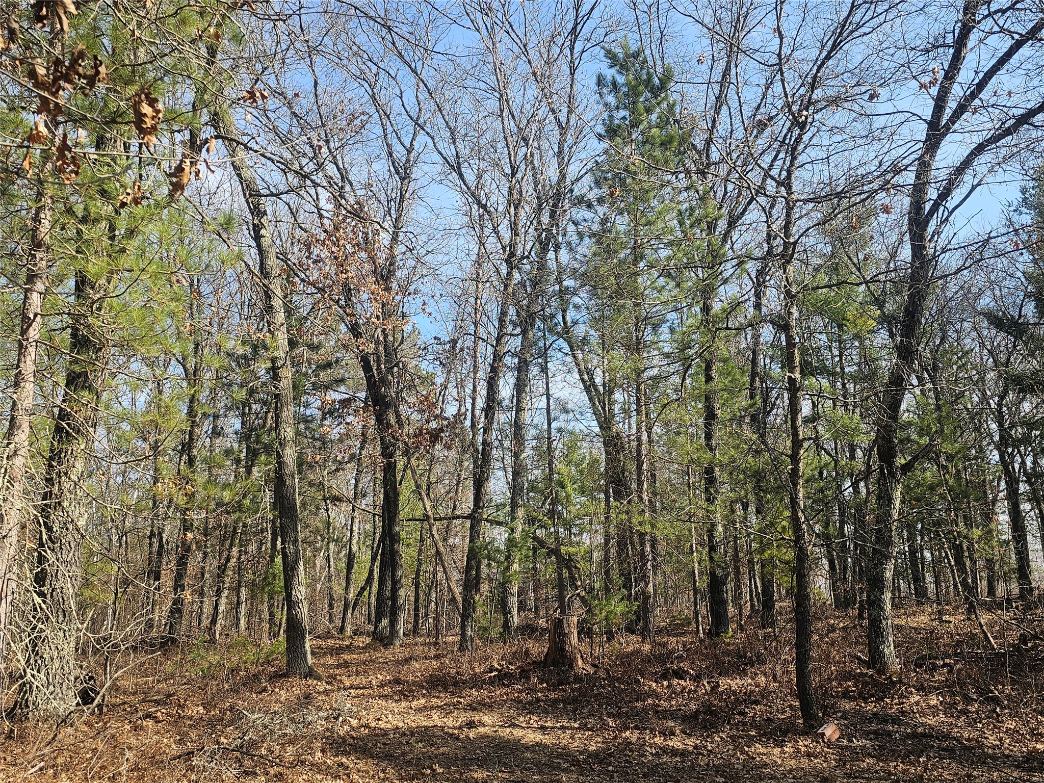 1894 S Lost Lake Road Danbury WI 54830 1599386 image29