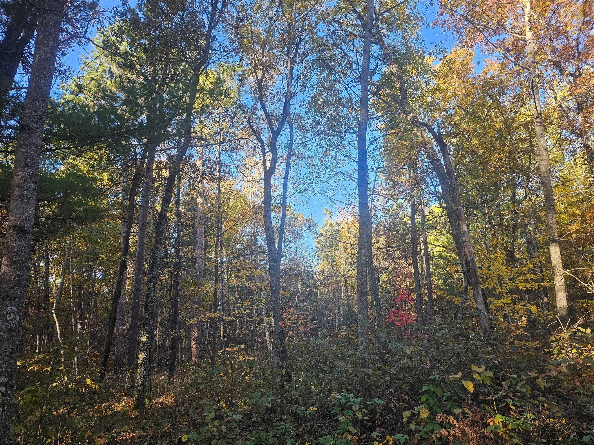 1894 S Lost Lake Road Danbury WI 54830 1599386 image32