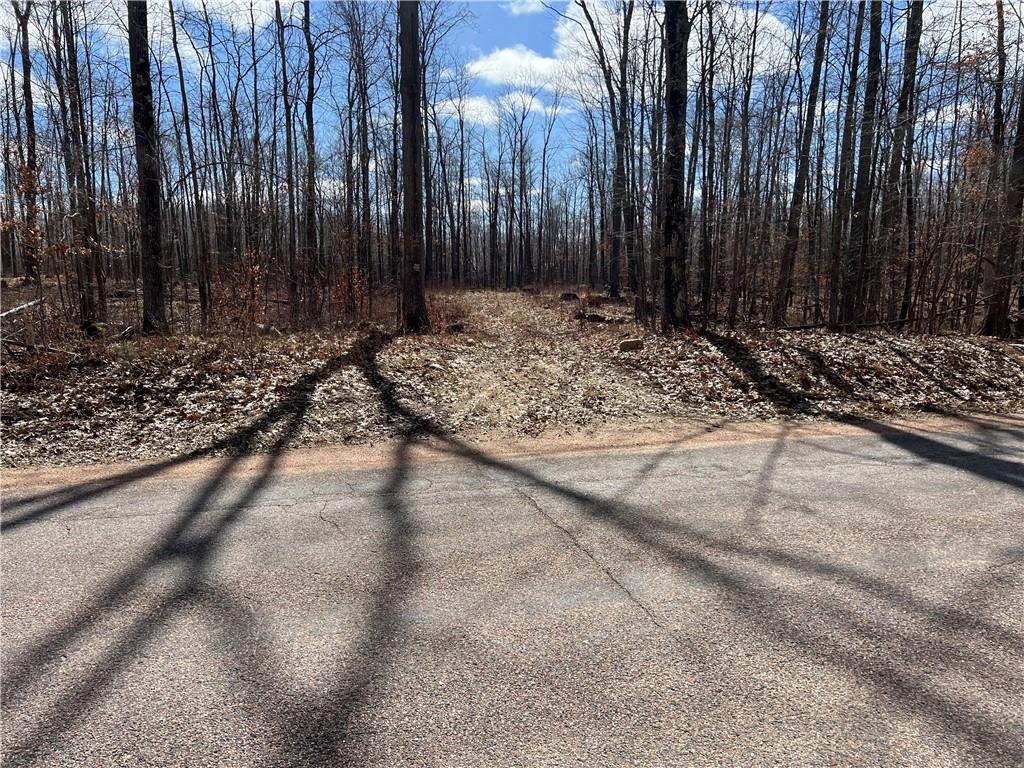 19.11 Acres Falstad Road Eland WI 54427 1580484 image1