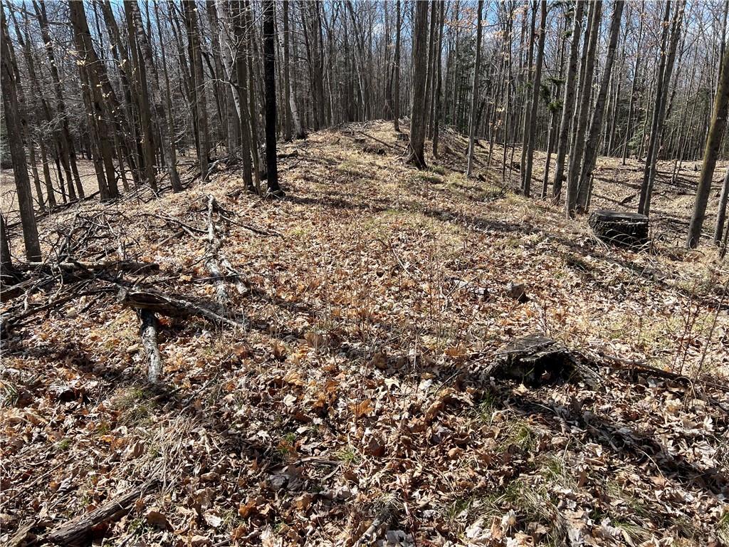 19.17 Acres Falstad Road Eland WI 54427 1580477 image1