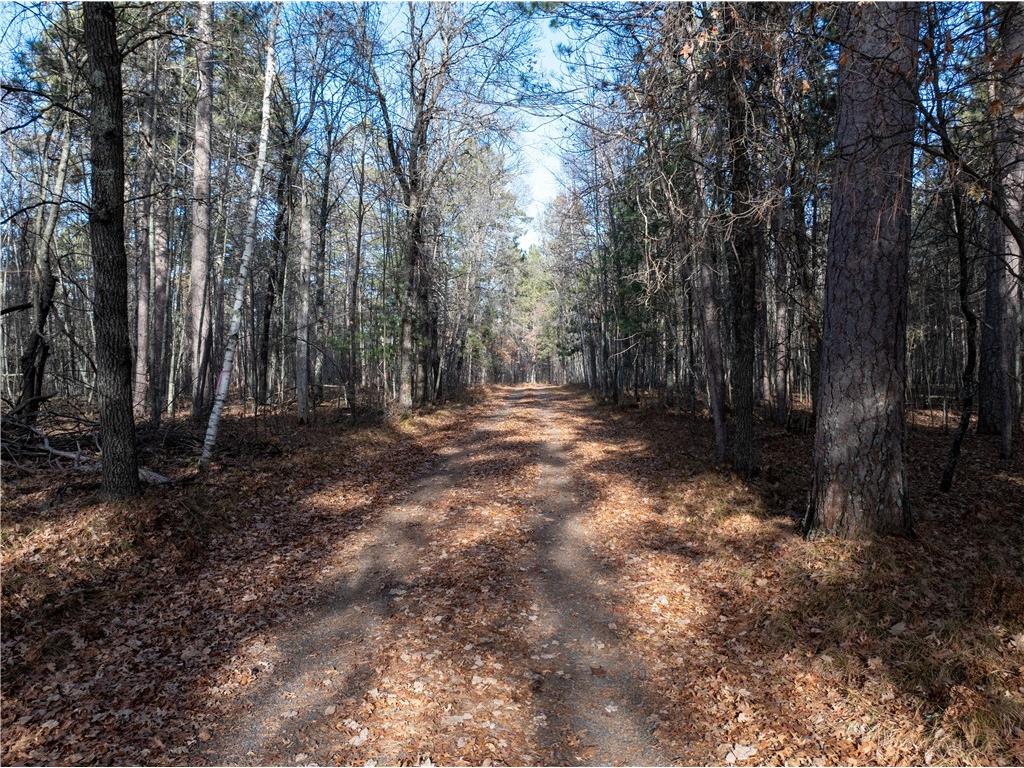 1905 Lake Road Barnes WI 54873 - Middle Eau Claire 1597201 image4