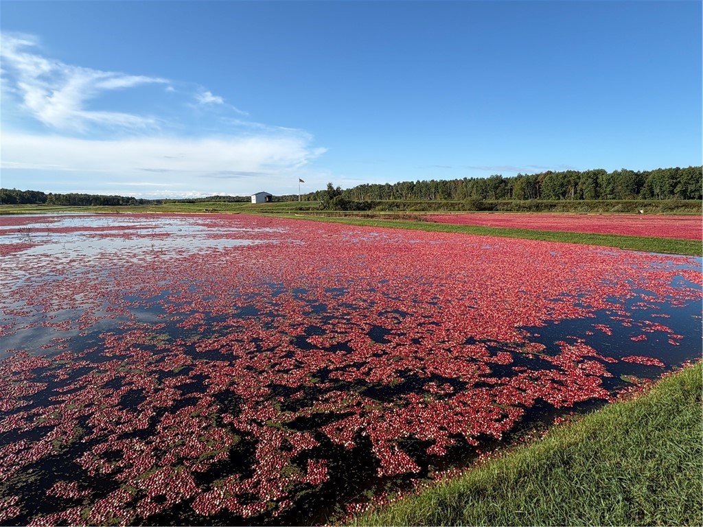 1906 State Rd 27 Exeland WI 54835 1596370 image30