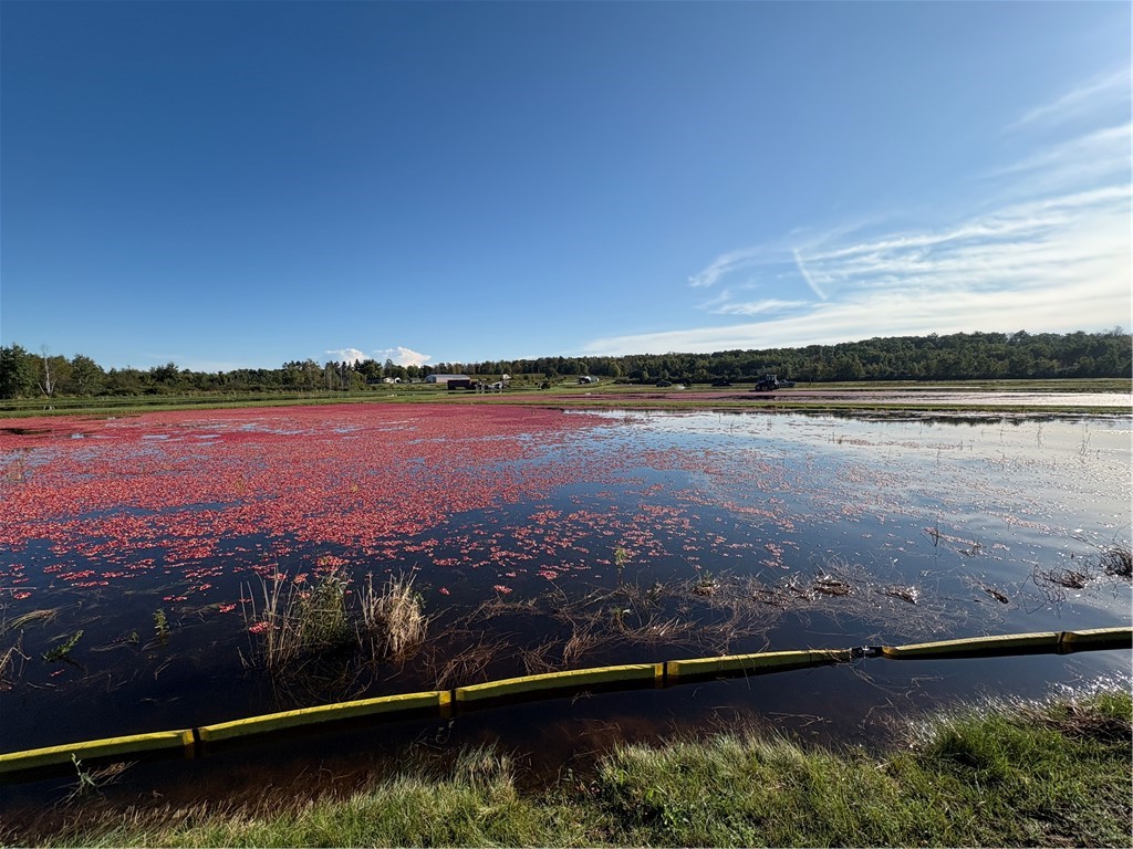 1906 State Rd 27 Exeland WI 54835 1596370 image5