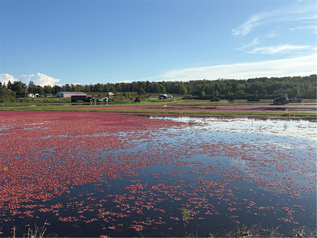 1906 State Rd 27 Exeland WI 54835 1596370 image7