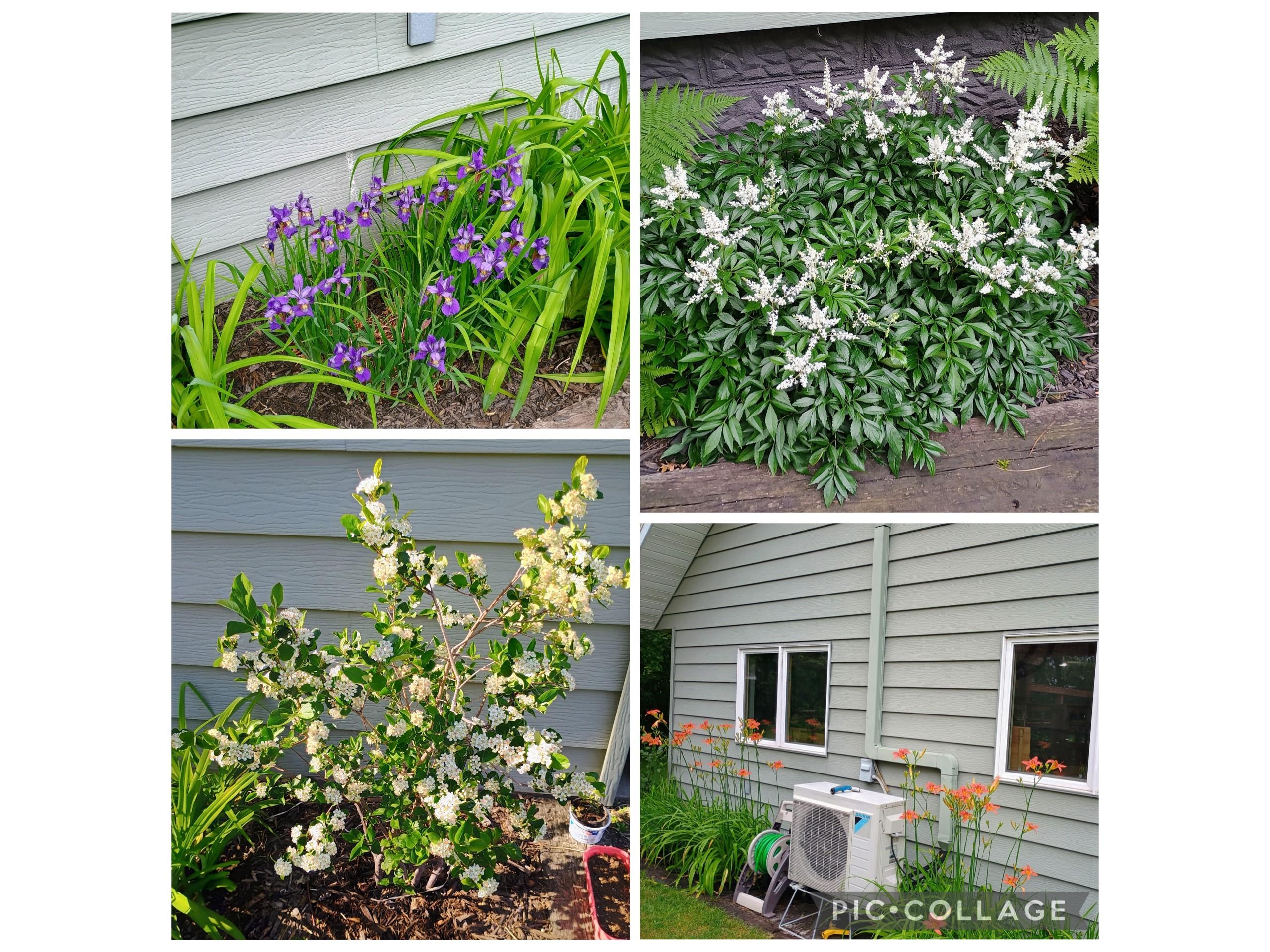 1908 Lasalle Street Eau Claire WI 54703 1599358 image42