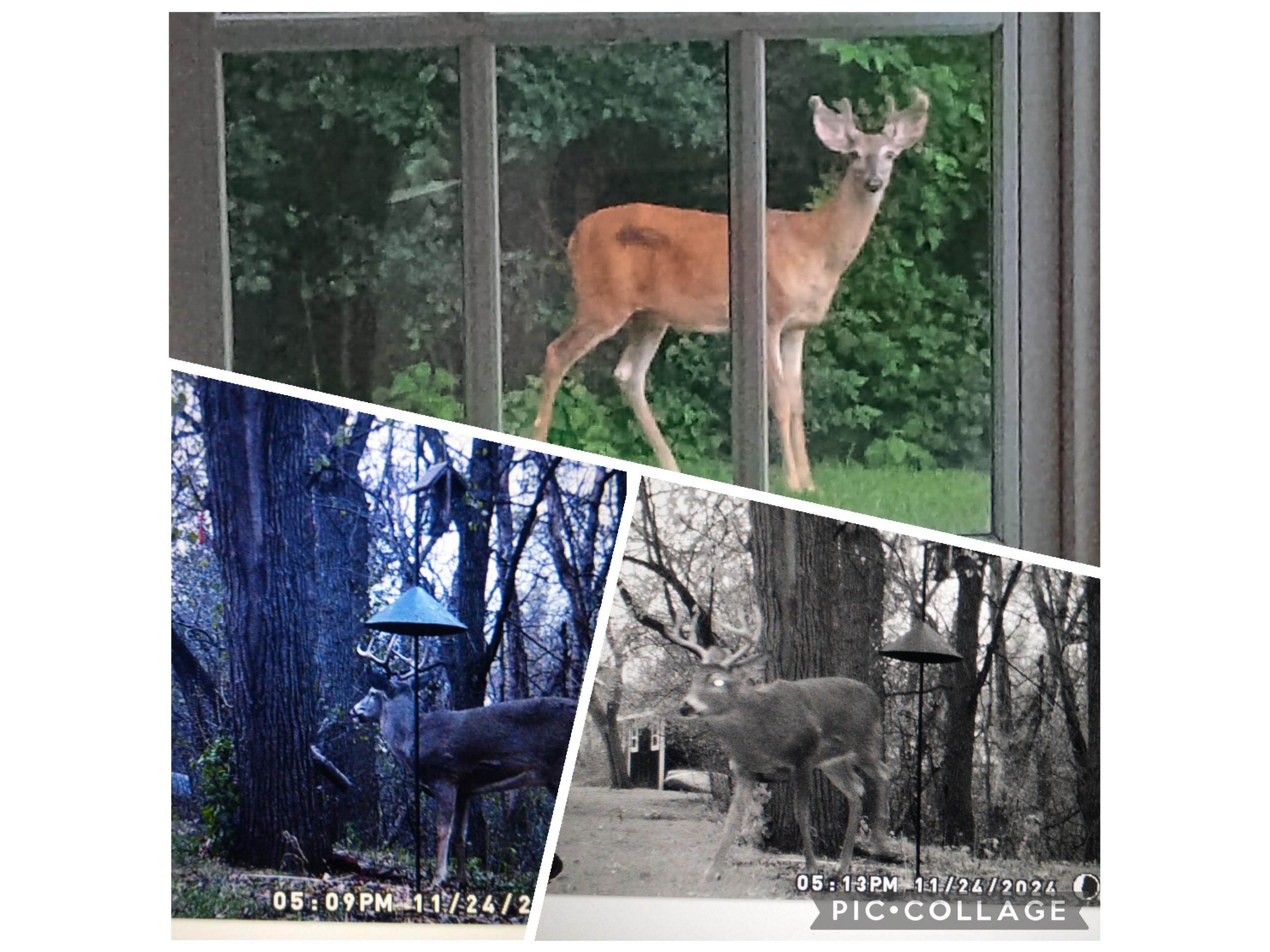 1908 Lasalle Street Eau Claire WI 54703 1599358 image43