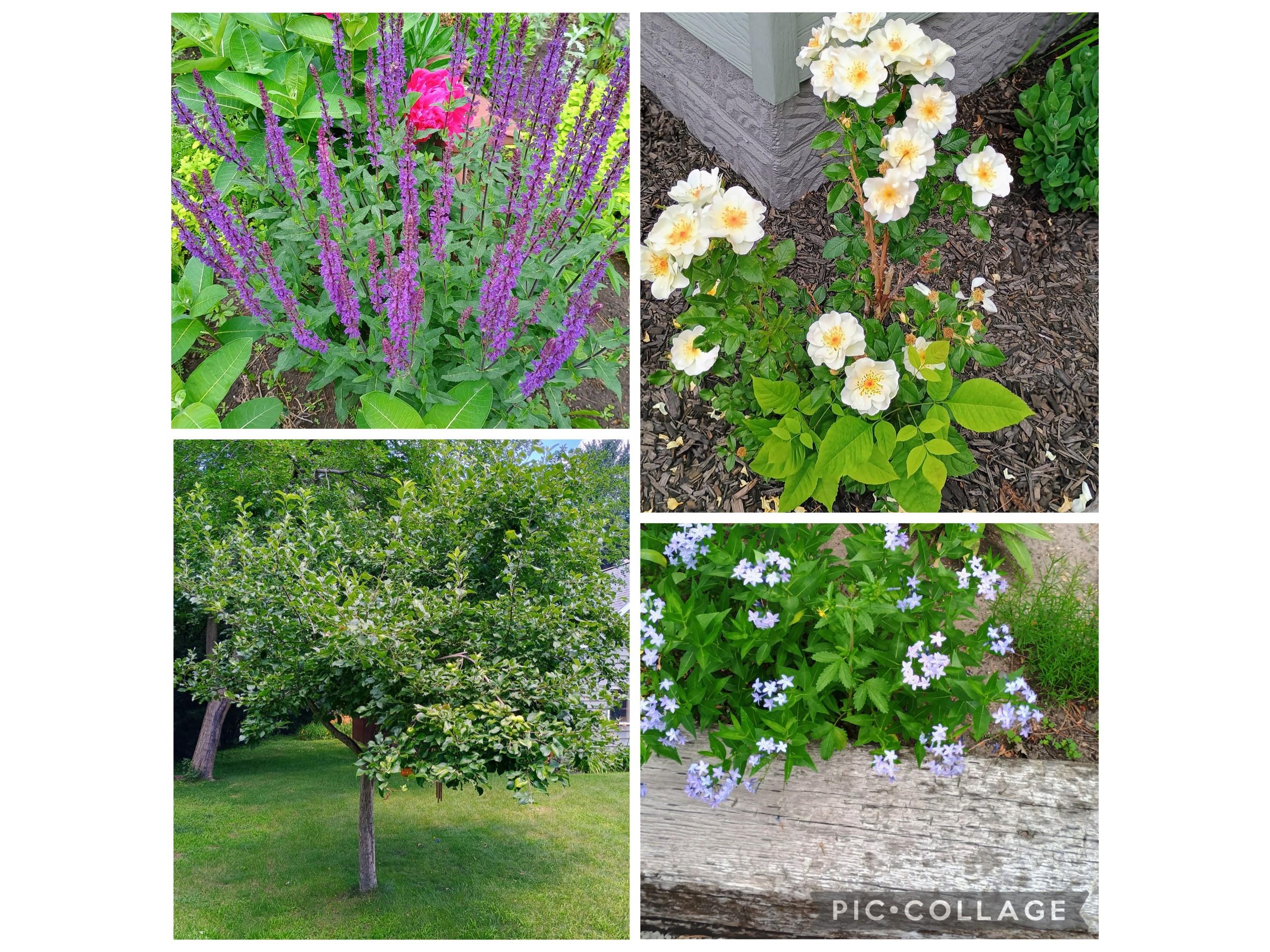 1908 Lasalle Street Eau Claire WI 54703 1599358 image44