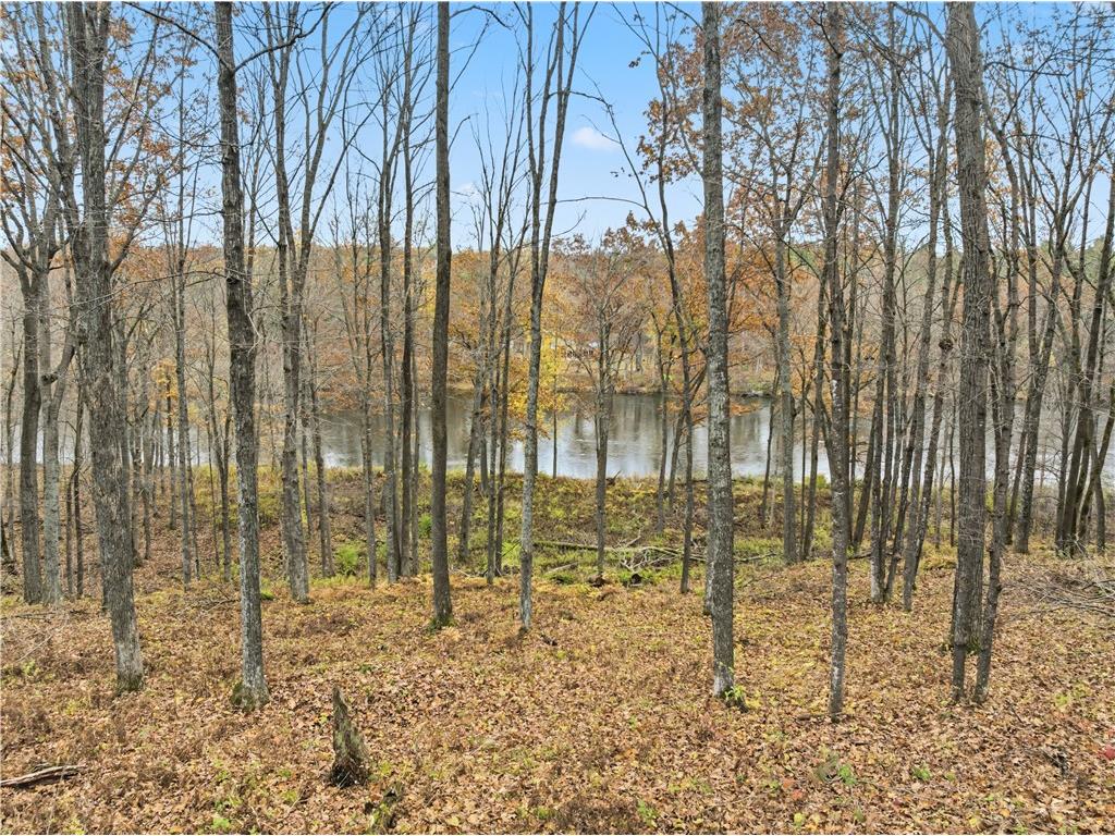 1996 State Road 40 Exeland WI 54835 - Chippewa 1596688 image5