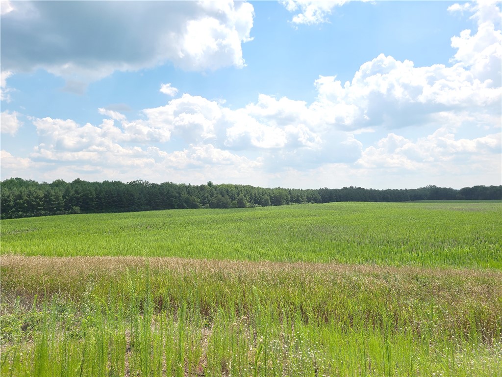 1xx County Rd N Boyceville WI 54725 1571419 image1