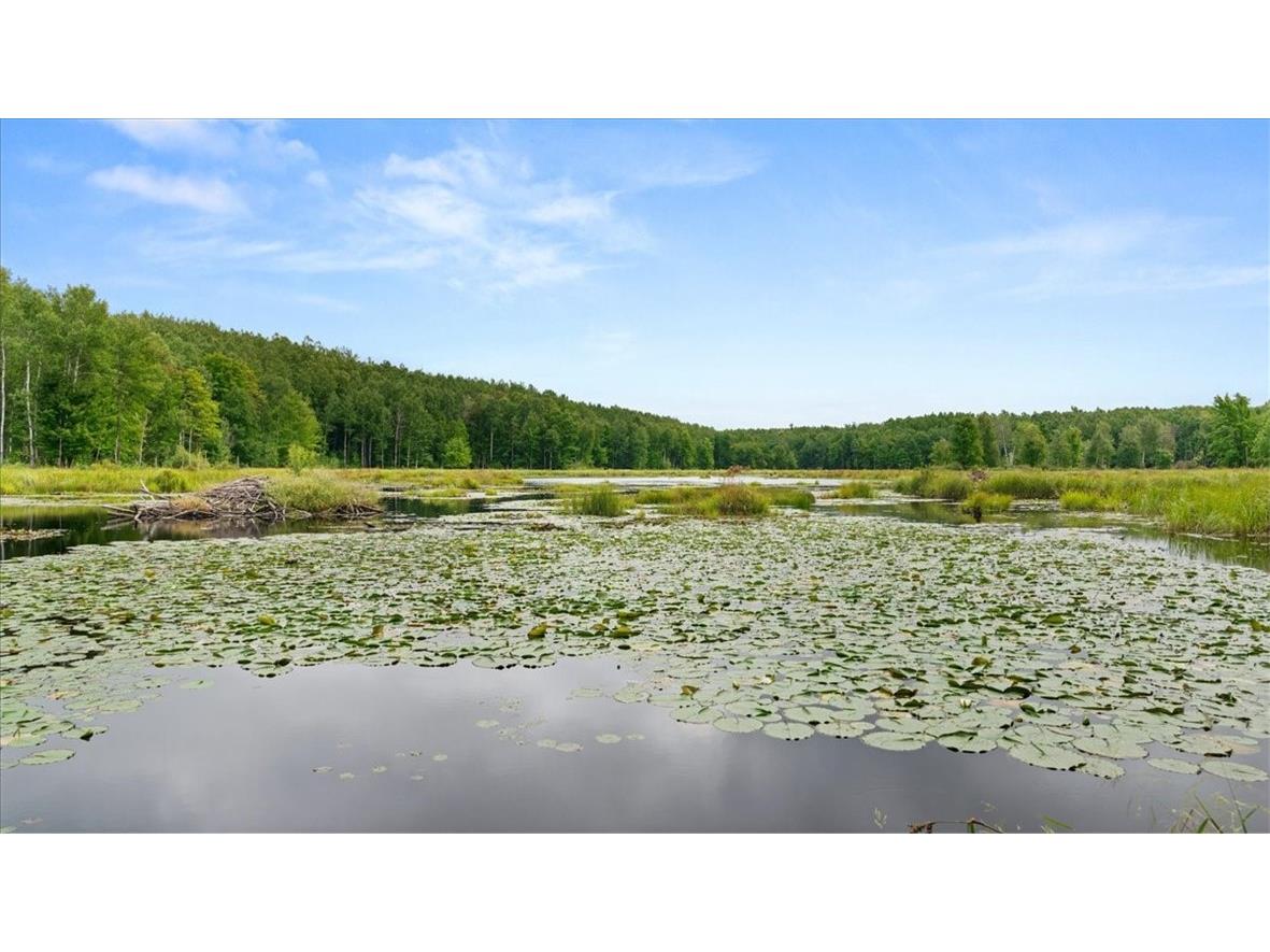 2351 ACRES County Hwy C & Comet Road Exeland WI 54835 - Swift Creek 1595405 image10
