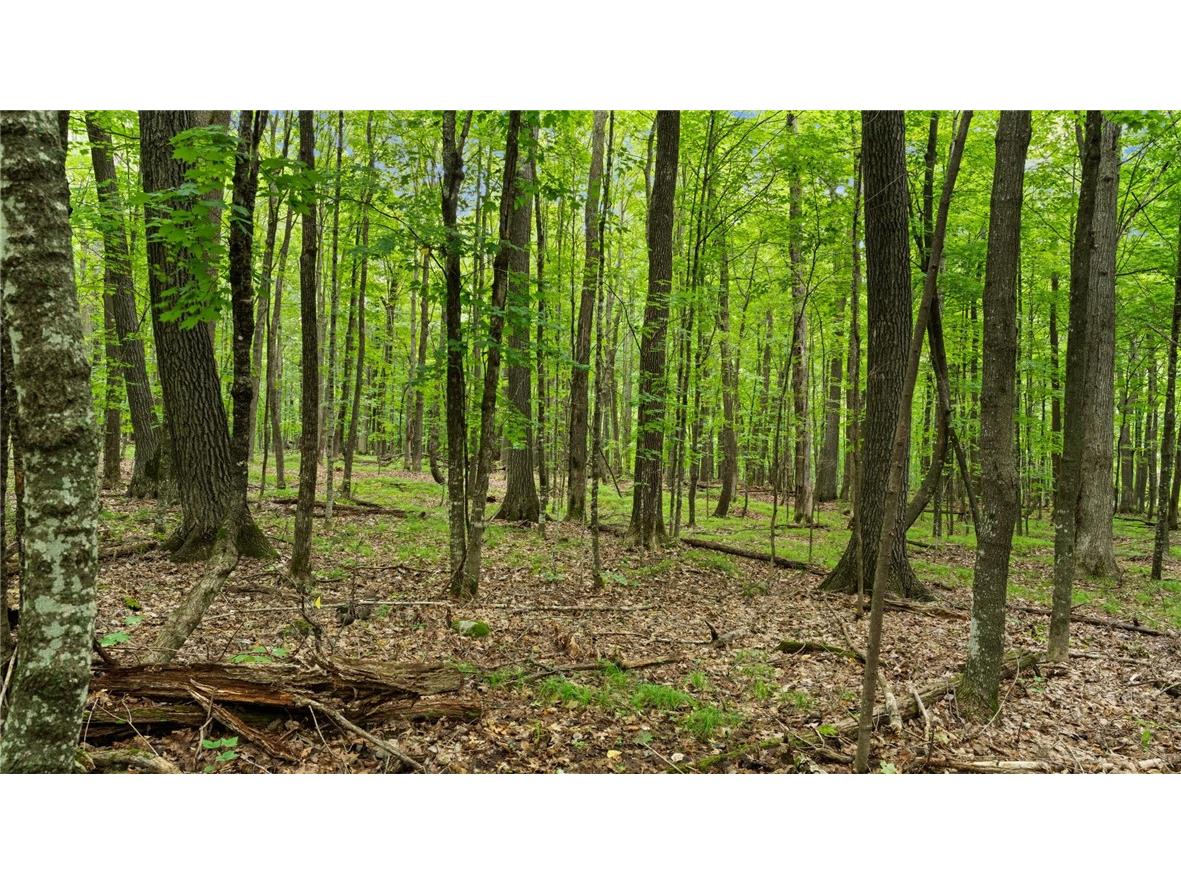 2351 ACRES County Hwy C & Comet Road Exeland WI 54835 - Swift Creek 1595405 image45