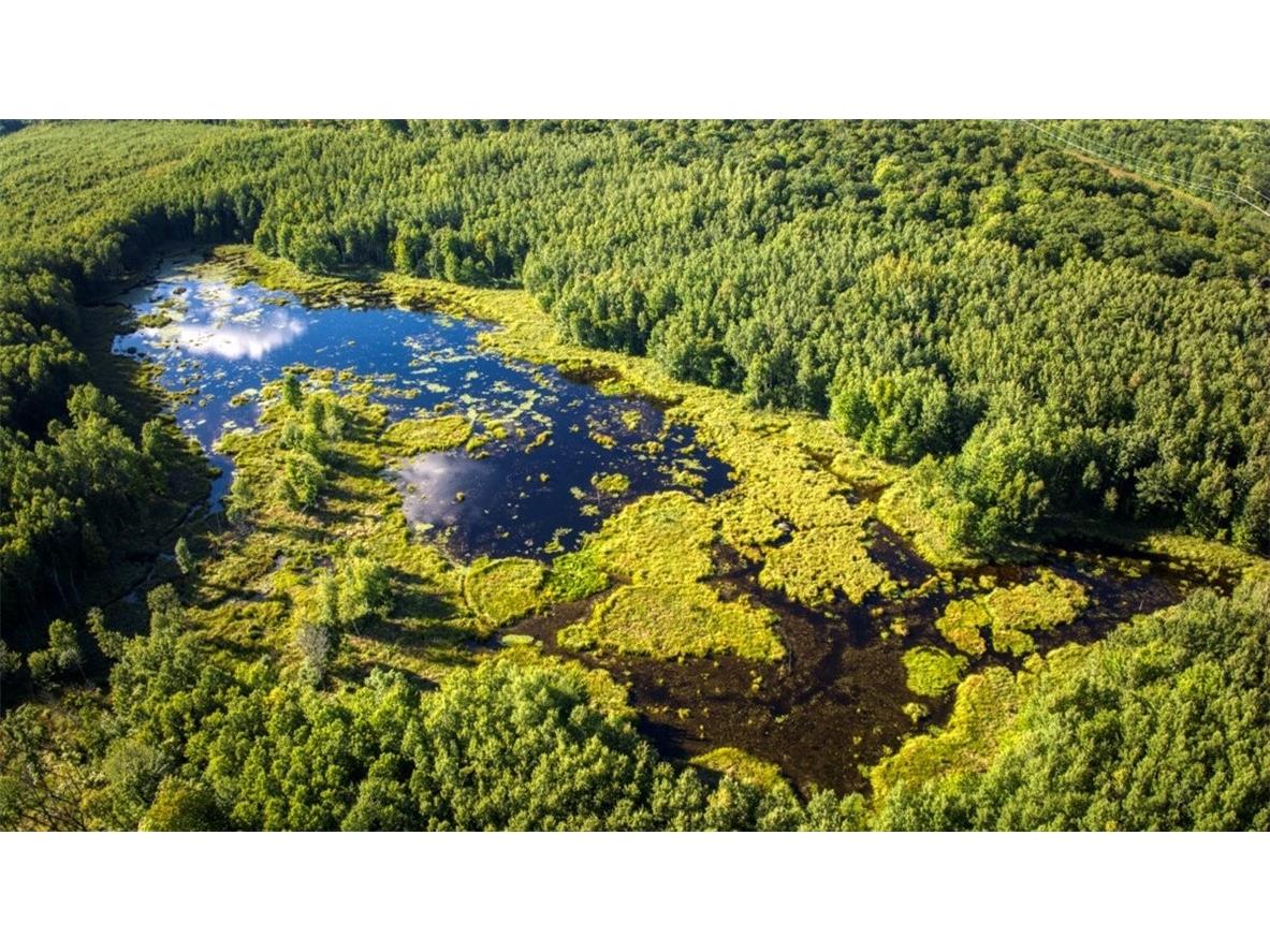 2351 ACRES County Hwy C & Comet Road Exeland WI 54835 - Swift Creek 1595405 image5