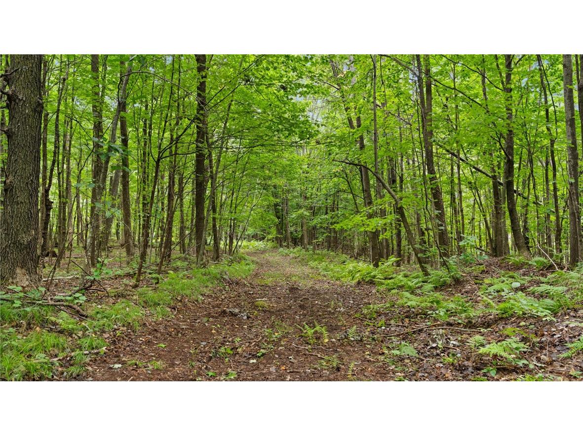 2351 ACRES County Hwy C & Comet Road Exeland WI 54835 - Swift Creek 1595405 image52