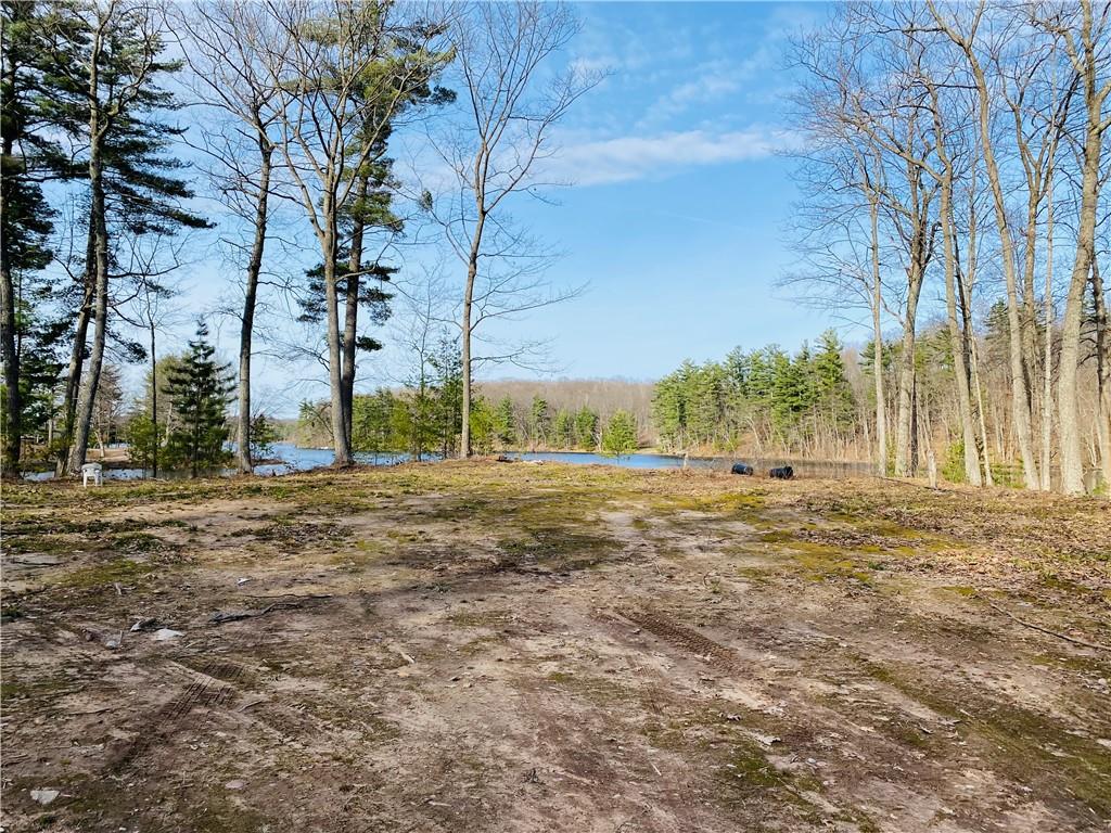 2.44 Acres Holy Island Road, Sarona, WI, 54870 MLS 1579206 Edina