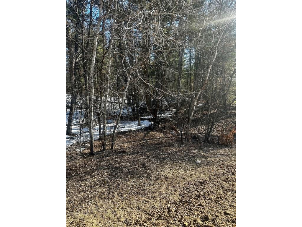 2.6 Acres 16th Avenue Cameron WI 54822 1571824 image1