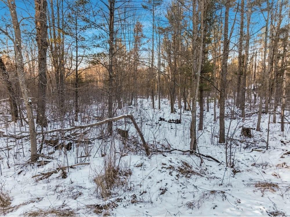 2.6 Acres N Hayden Street Merrillan WI 54754 1597890 image11