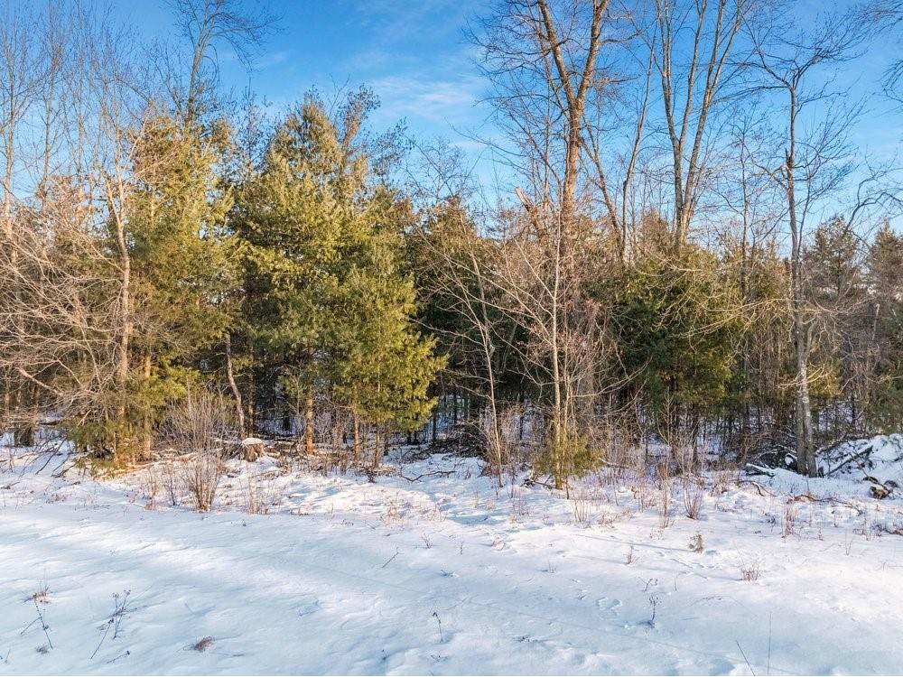 2.6 Acres N Hayden Street Merrillan WI 54754 1597890 image7