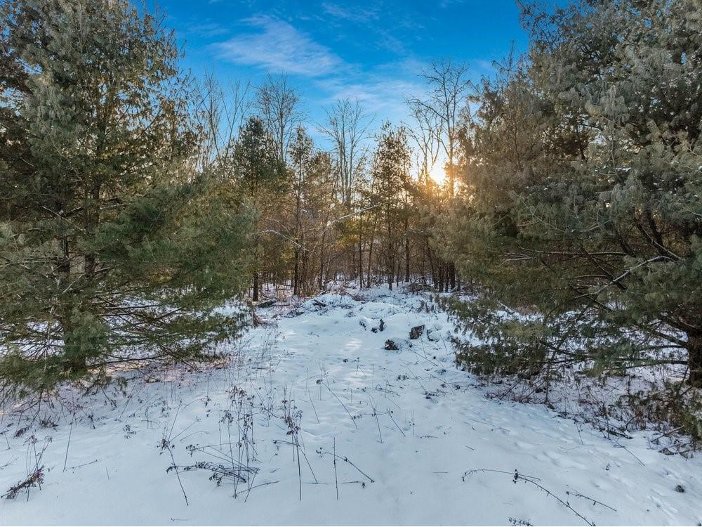 2.6 Acres N Hayden Street Merrillan WI 54754 1597890 image8