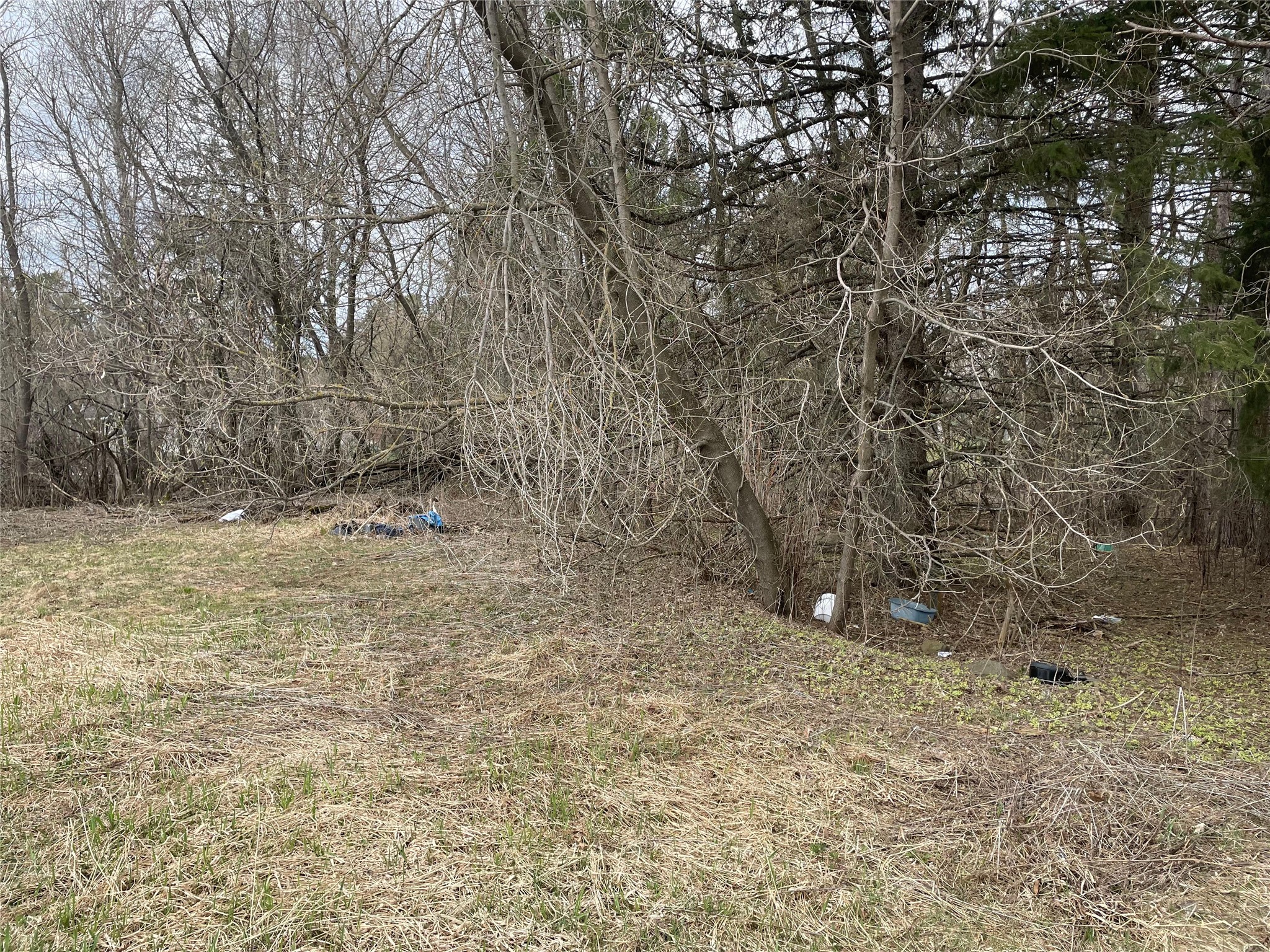 2 Lots Off Thurston Road Glidden WI 54527 1597749 image2