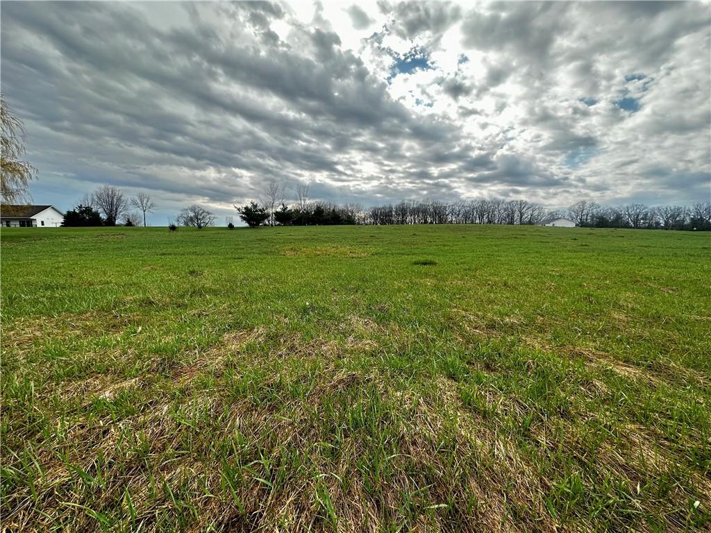 2 acres 171st Street Jim Falls WI 54748 1572752 image1