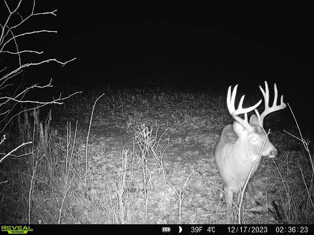 20.05 Acres County Road N Wheeler WI 54772 1598103 image11