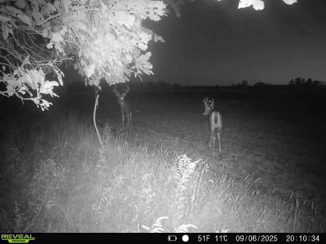20.05 Acres County Road N Wheeler WI 54772 1598103 image12