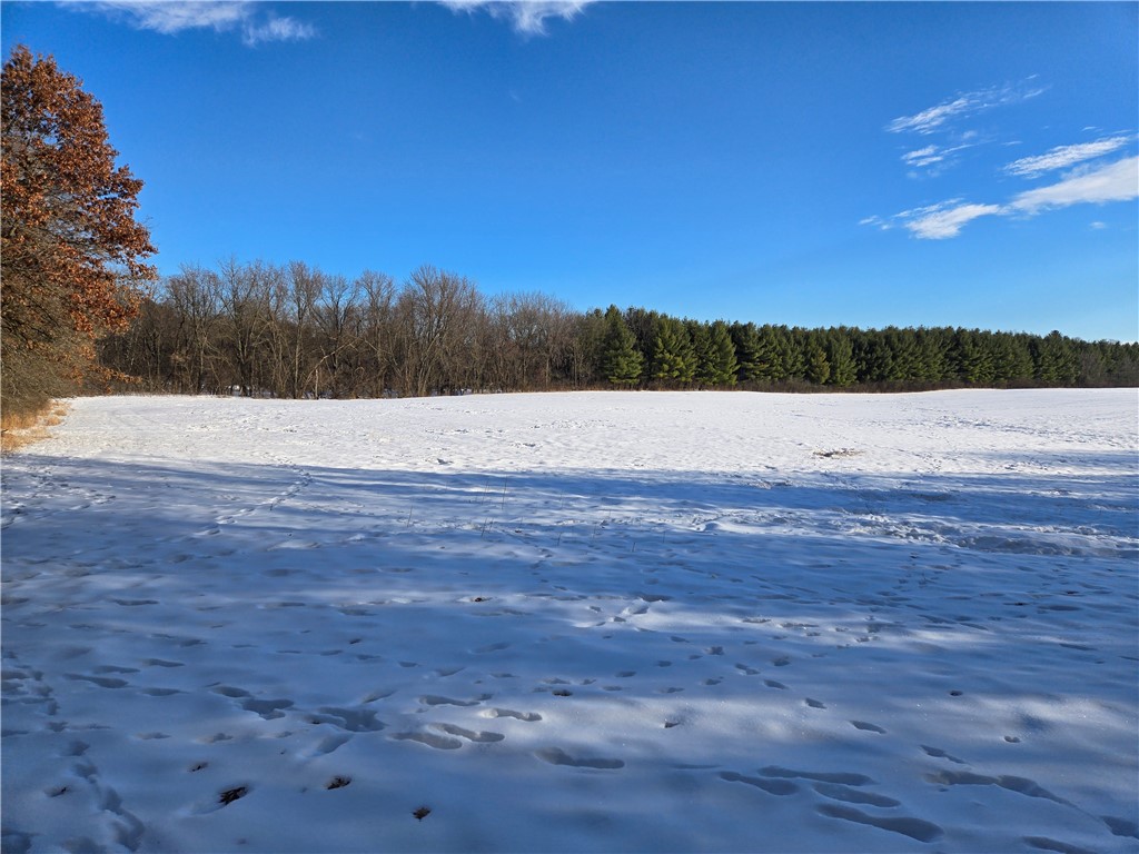 20.05 Acres County Road N Wheeler WI 54772 1598103 image3