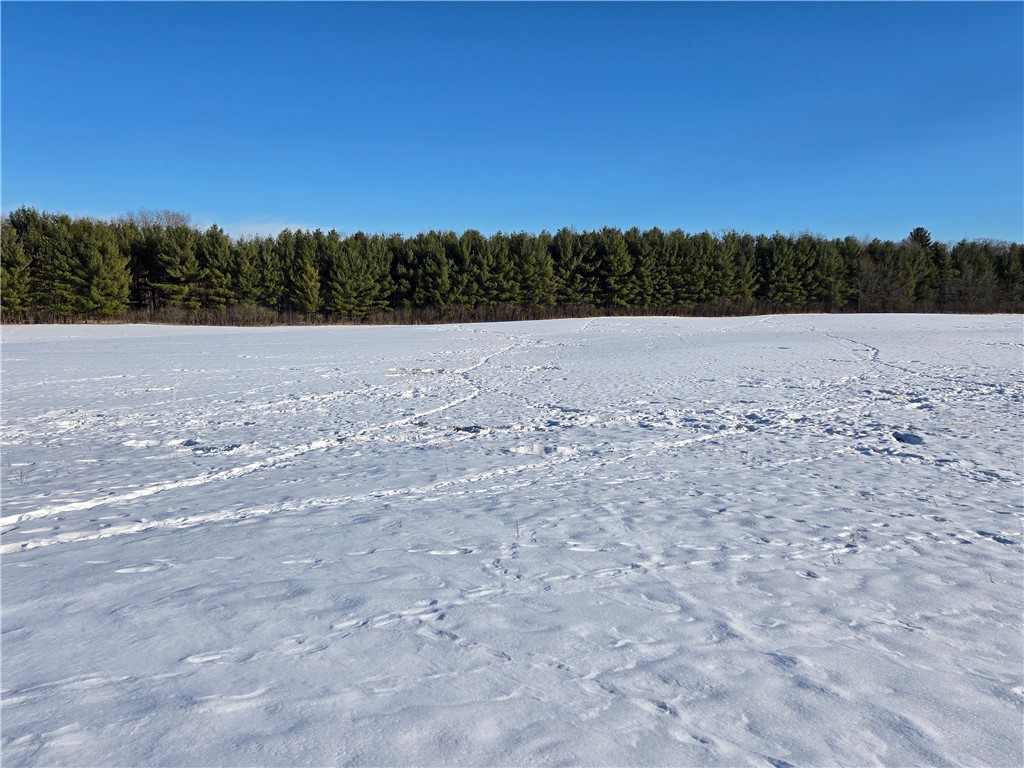 20.05 Acres County Road N Wheeler WI 54772 1598103 image4