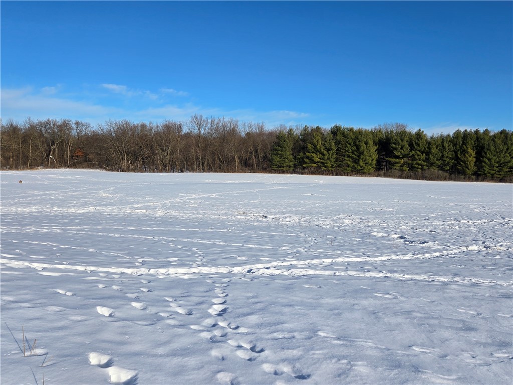 20.05 Acres County Road N Wheeler WI 54772 1598103 image5
