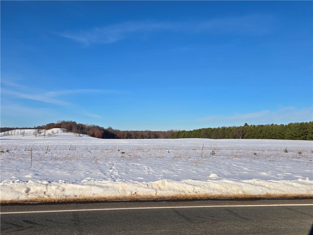 20.05 Acres County Road N Wheeler WI 54772 1598103 image7