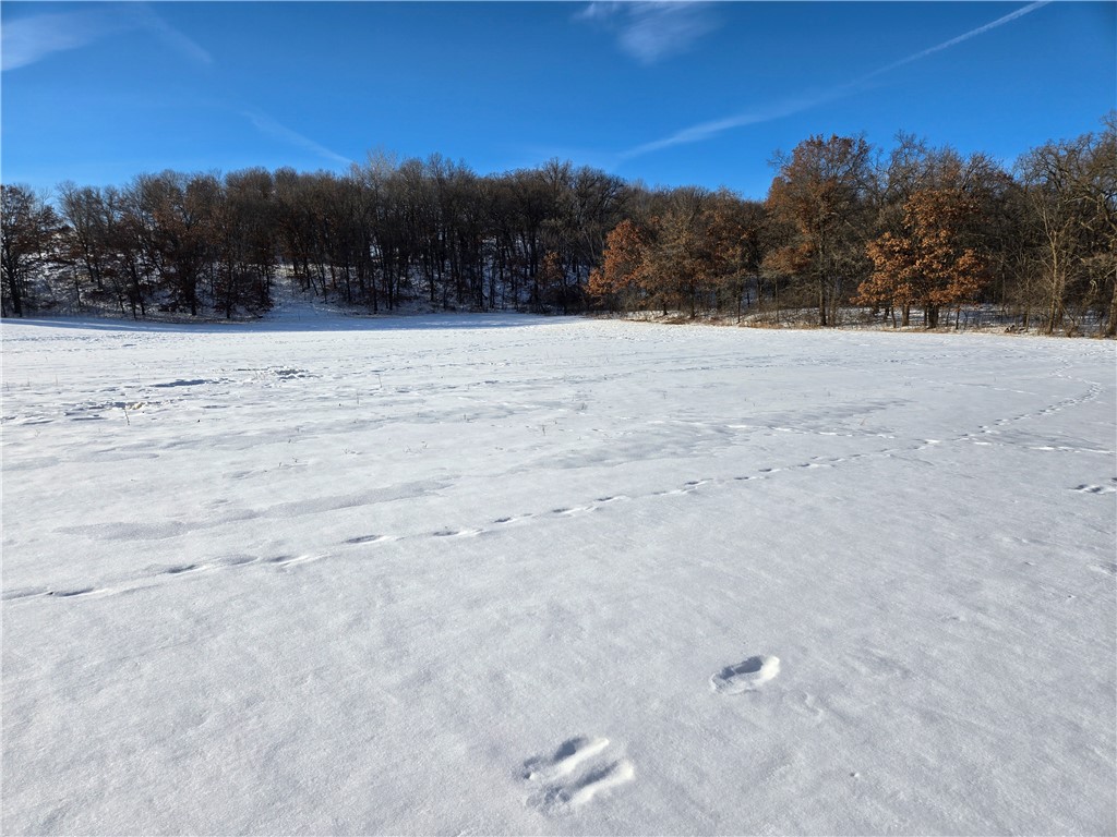 20.05 Acres County Road N Wheeler WI 54772 1598103 image9